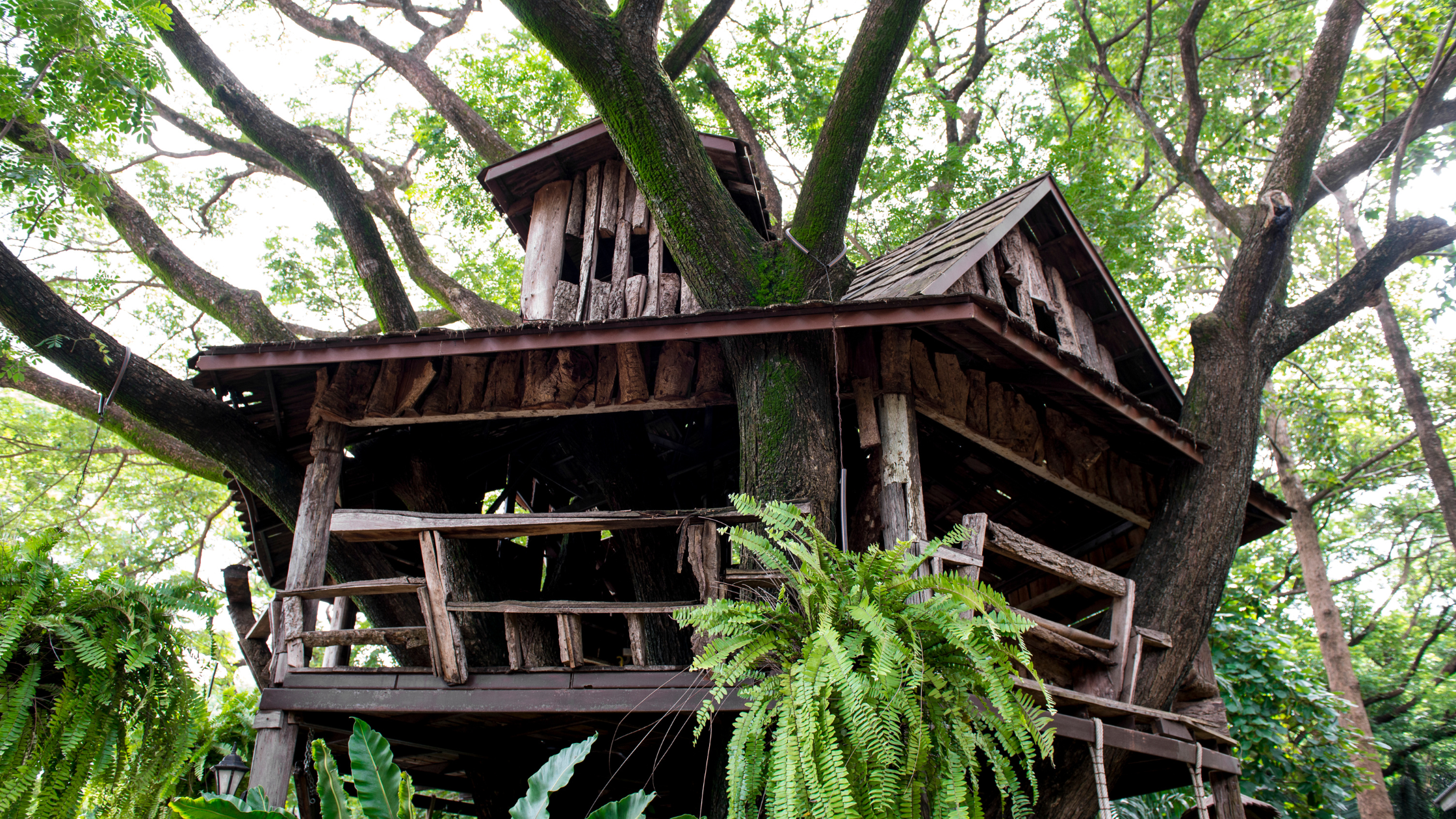 Casa de árbol disponible para viajeros de todo el mundo gracias a la integración de Airbnb y RoomRaccoon